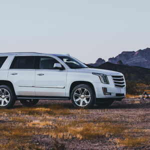 Rental rates for Cadillac SUVs across top agencies