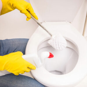 7 common toilet cleaning mistakes to avoid